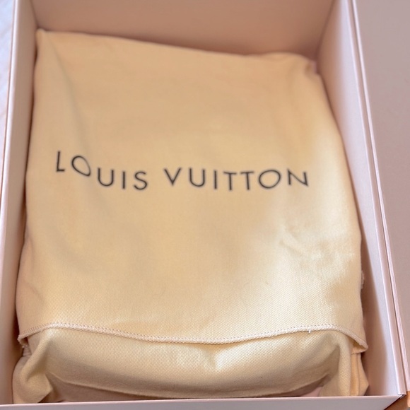 Louis Vuitton Damier Ebene Clapton Backpack - Picture 15 of 15